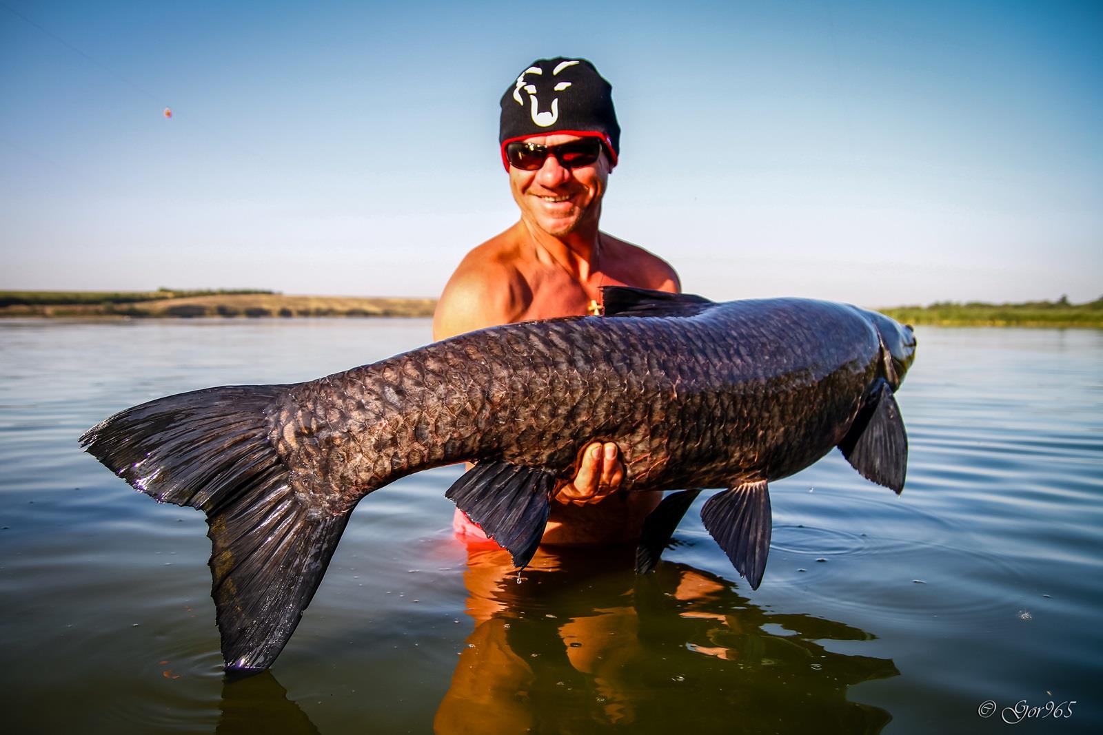 TOP 15 cele mai frumoase fotografii surprinse la pescuit.